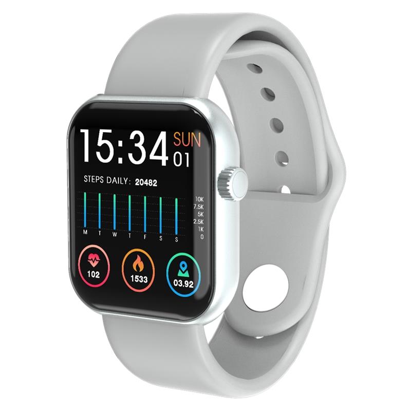 Orologio Smartwatch Tecnochic Grigio/Silver - TECNOCHIC