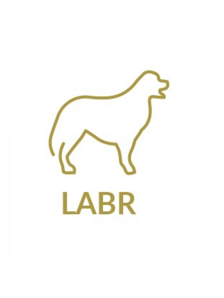 ORECCHINO AG 925% LOBO LABRADOR - RUE DES MILLE